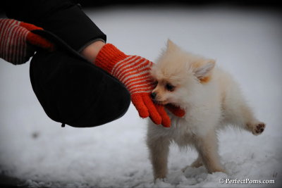 Feb17_10_129.jpg