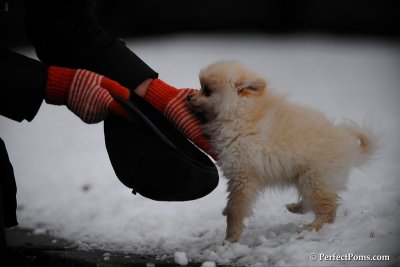 Feb17_10_130.jpg