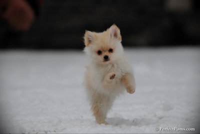 Feb17_10_131.jpg