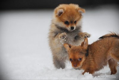 Feb17_10_154.jpg