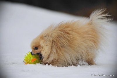 Feb17_10_165.jpg
