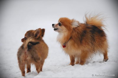 Feb17_10_167.jpg