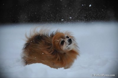Feb26_10_013.jpg