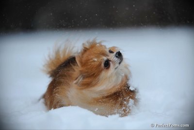 Feb26_10_016.jpg