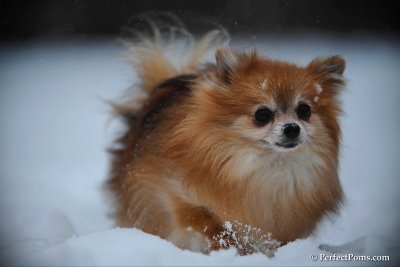 Feb26_10_019.jpg