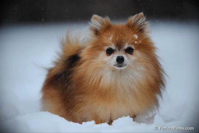 Feb26_10_020.jpg