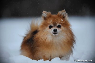 Feb26_10_022.jpg