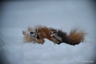 Feb26_10_026.jpg