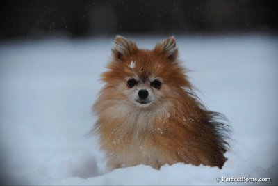 Feb26_10_028.jpg