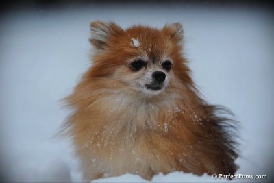 Feb26_10_029.jpg
