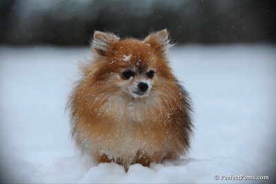 Feb26_10_031.jpg