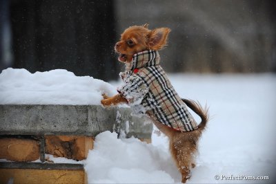 Feb26_10_050.JPG