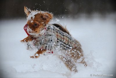 Feb26_10_058.jpg