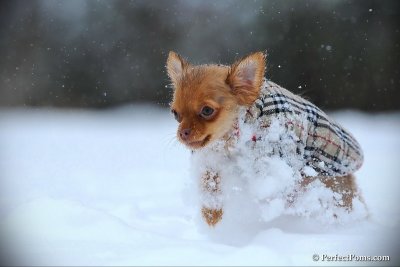 Feb26_10_079.jpg