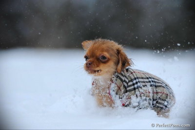 Feb26_10_081.jpg