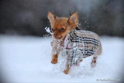 Feb26_10_083.jpg