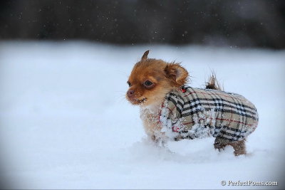 Feb26_10_086.jpg