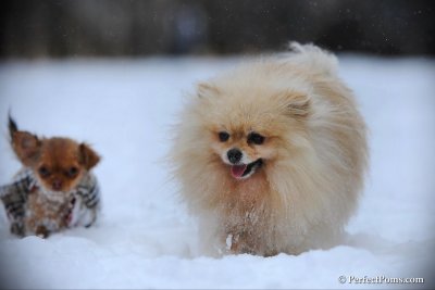Feb26_10_087.jpg
