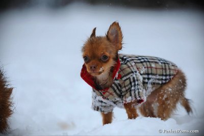 Feb26_10_090.jpg