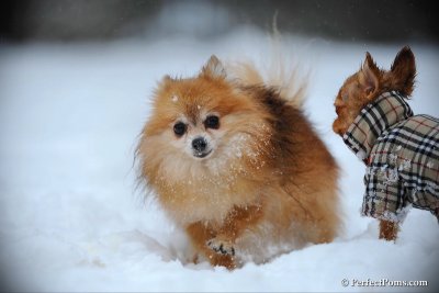 Feb26_10_091.jpg