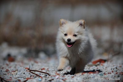 Mar24_10_291.jpg