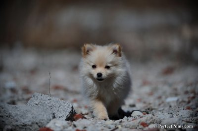 Mar24_10_292.JPG