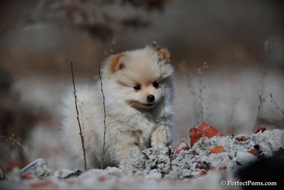 Mar24_10_298.jpg