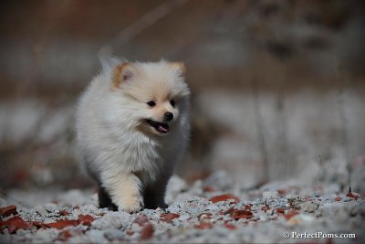 Mar24_10_305.jpg