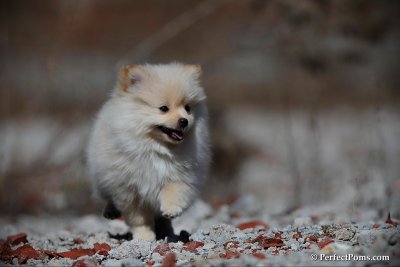Mar24_10_306.jpg
