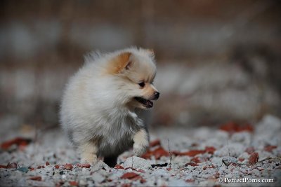 Mar24_10_307.jpg