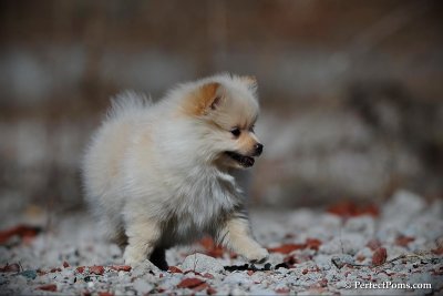 Mar24_10_308.jpg