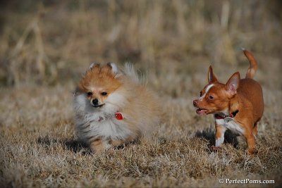 Apr1_10_396.jpg