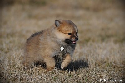 Apr1_10_404.jpg