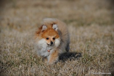 Apr1_10_419.jpg