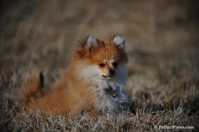 Apr1_10_420.jpg