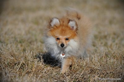 Apr1_10_428.jpg