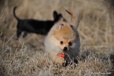 Apr1_10_430.jpg