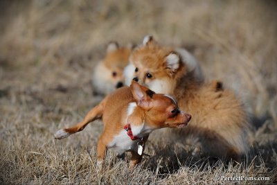 Apr1_10_437.jpg