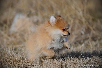 Apr1_10_439.jpg