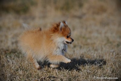 Apr1_10_440.jpg