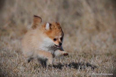Apr1_10_169.jpg