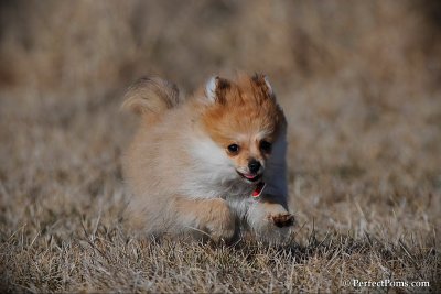 Apr1_10_171.jpg