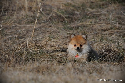 Apr1_10_173.jpg