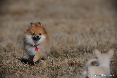 Apr1_10_175.jpg