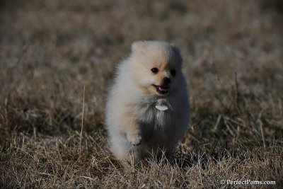 Apr1_10_230.jpg