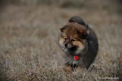 Apr1_10_251.jpg