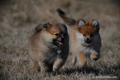 Apr1_10_118.jpg
