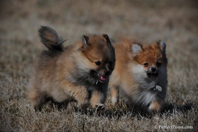 Apr1_10_119.jpg