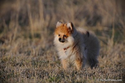 Apr4_10_118.jpg
