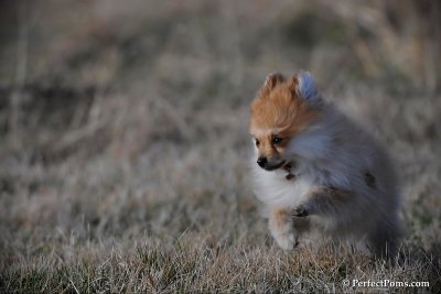 Apr4_10_168.jpg